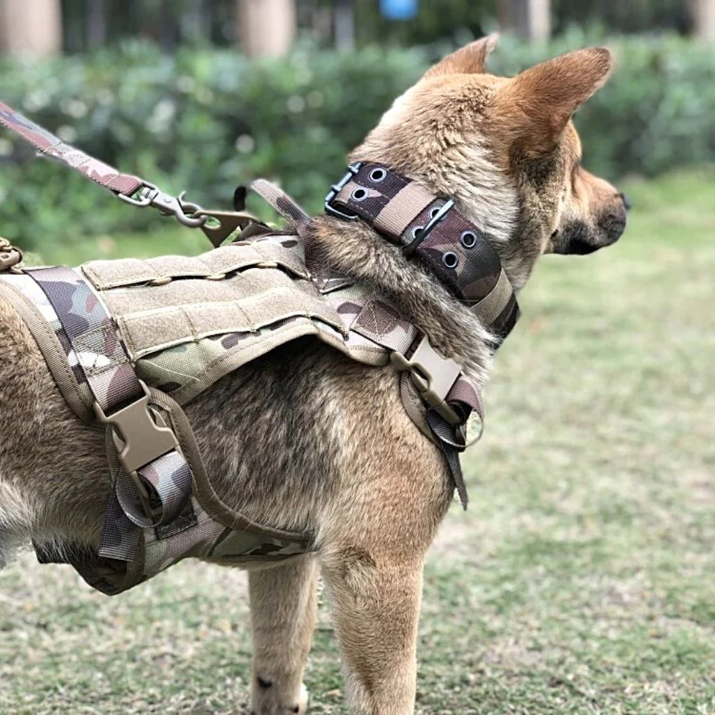 Adjustable Tactical Safety Harness for Dogs for Ultimate Comfort and Safety - Image 5