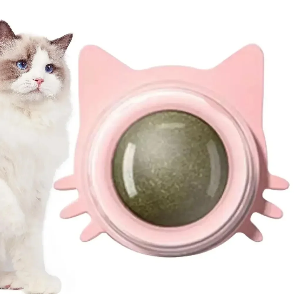 Cat Play Ball for a Healthy Stomach and More Cheerfulness - Image 3