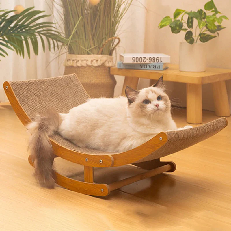 Clawed Cat - Image 3