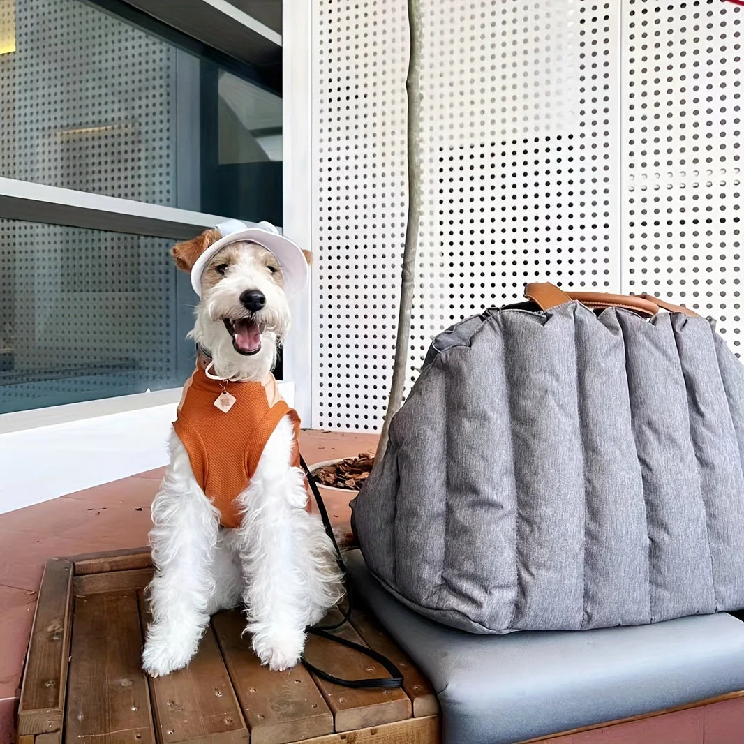 Waterproof Carrying Bag for Dogs and Cats for Convenience and Safety - Image 8